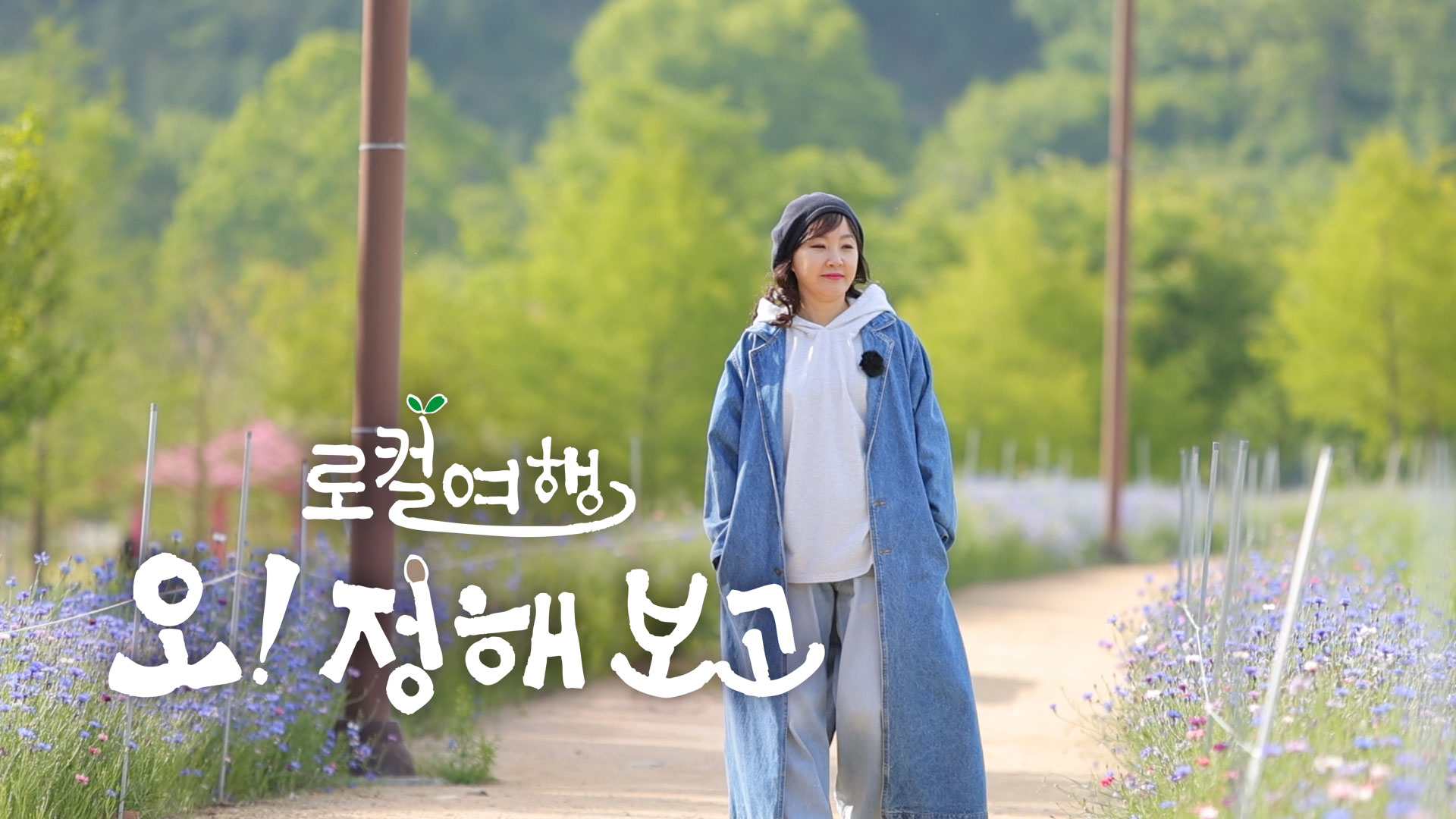 '로컬여행, 오! 정해보고' 중소SO-PP 공동제작 7일 첫방